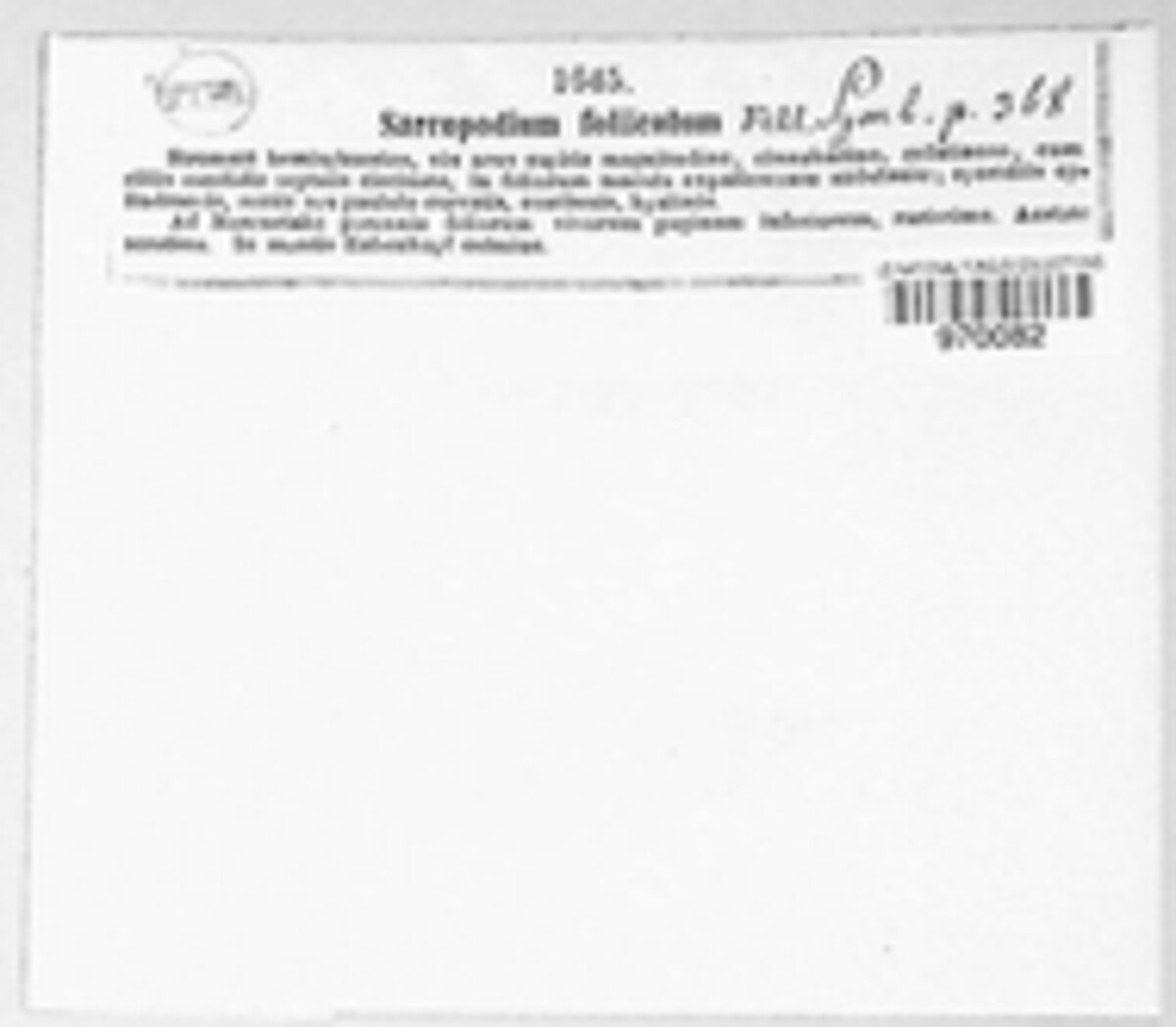 Sarcopodium foliicola image
